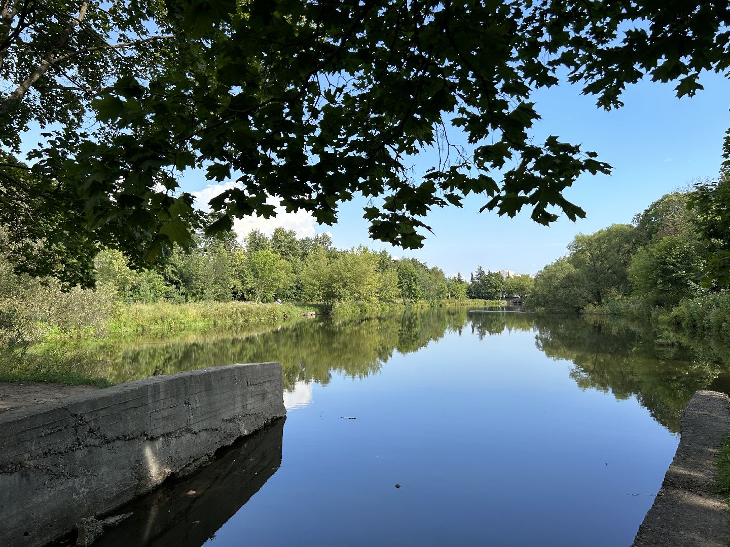 акция, вода России, Фрязино, пруд
