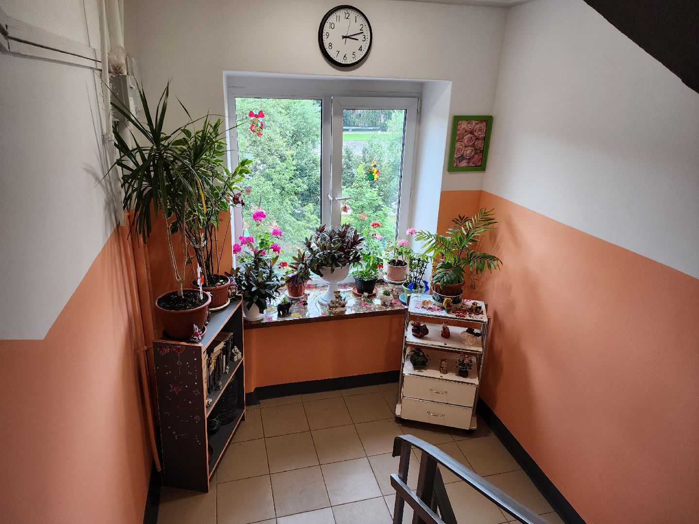 Раменское, ЖКХ, ремонт подъездов, жильцы многоквартирного дома оформили общедомовое пространство