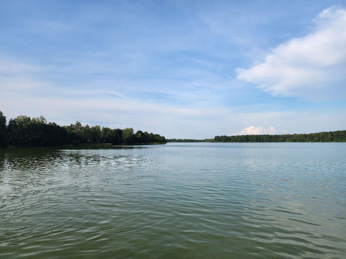 Озеро, ВОСВОД, спасатели, Бисерово, Богородский городской округ
