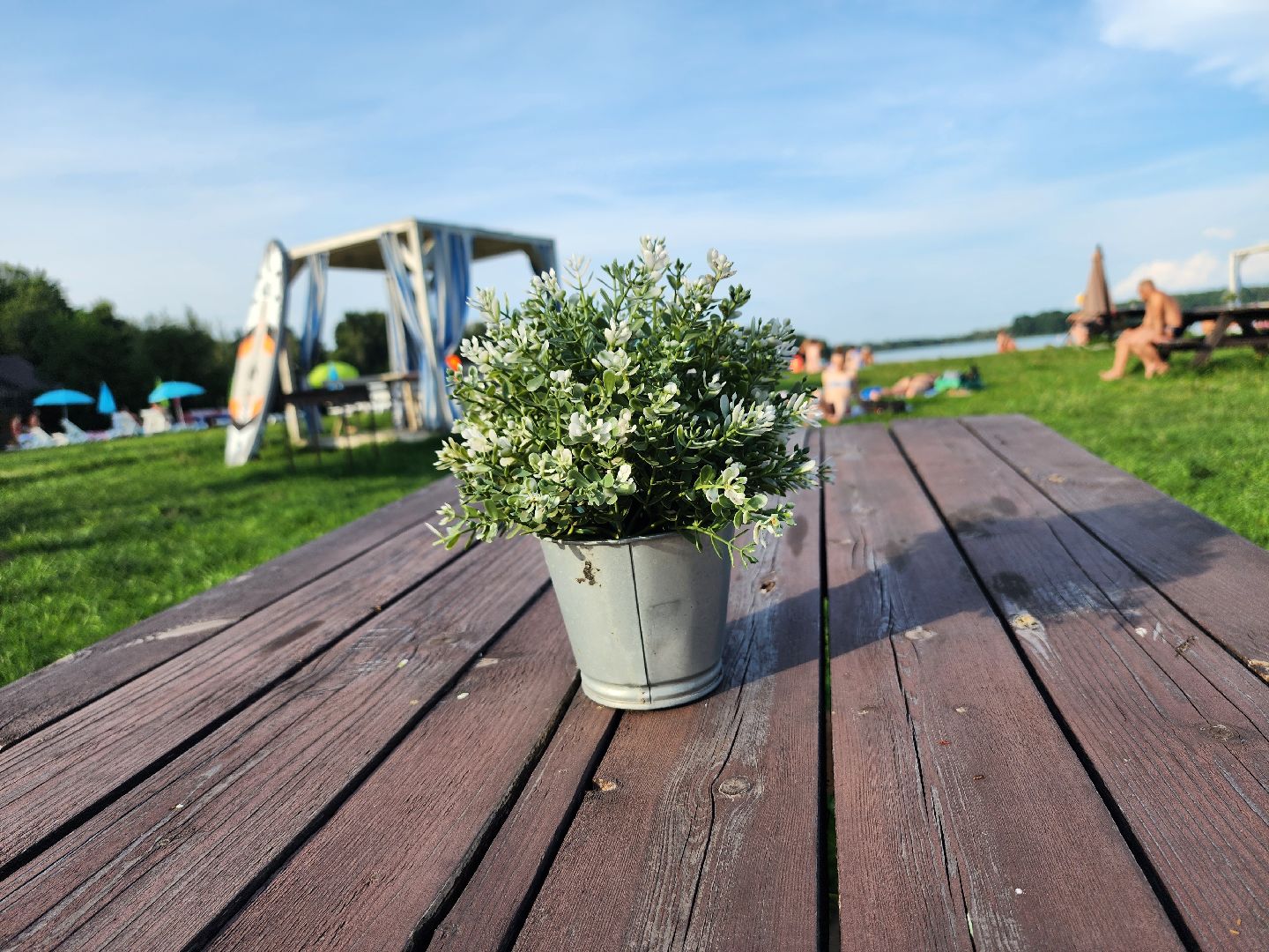 Озеро, ВОСВОД, спасатели, Бисерово, Богородский городской округ