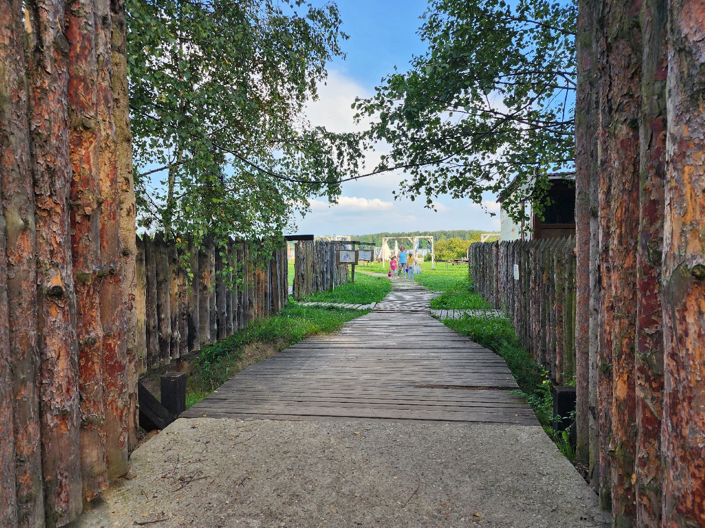 Озеро, ВОСВОД, спасатели, Бисерово, Богородский городской округ