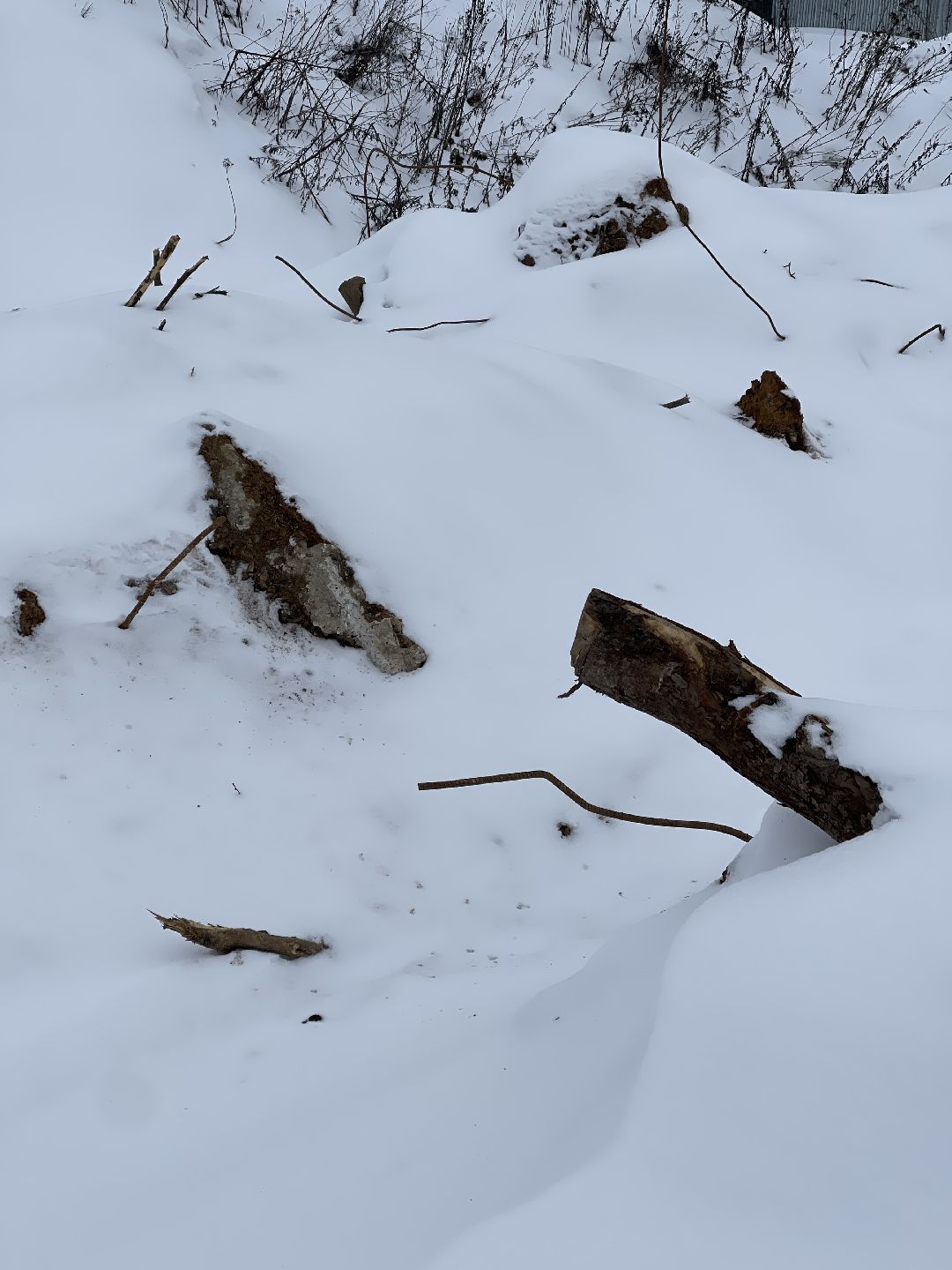 Экология, благоустройство, природа, министерство экологии, мвд, Росприроднадзор, Чапаевка