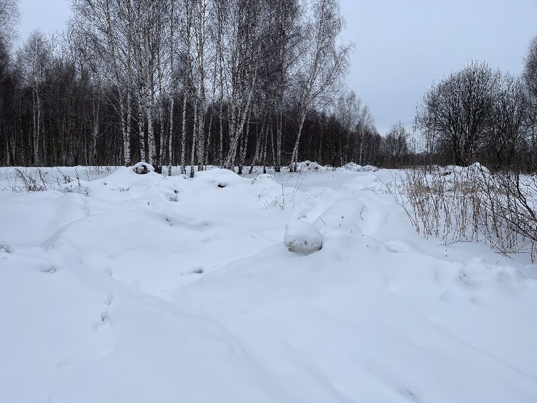 Экология, благоустройство, природа, министерство экологии, мвд, Росприроднадзор, Чапаевка