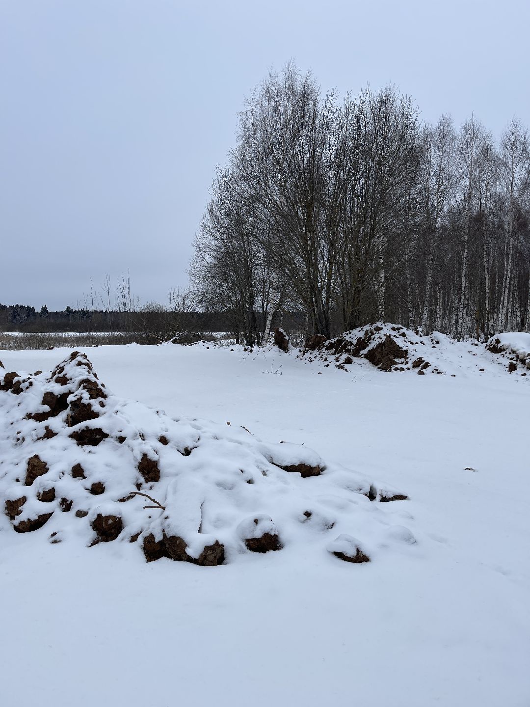 Экология, благоустройство, природа, министерство экологии, мвд, Росприроднадзор, Чапаевка