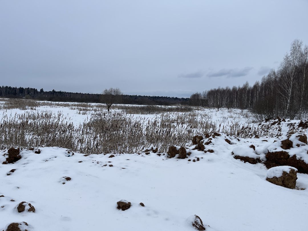 Экология, благоустройство, природа, министерство экологии, мвд, Росприроднадзор, Чапаевка