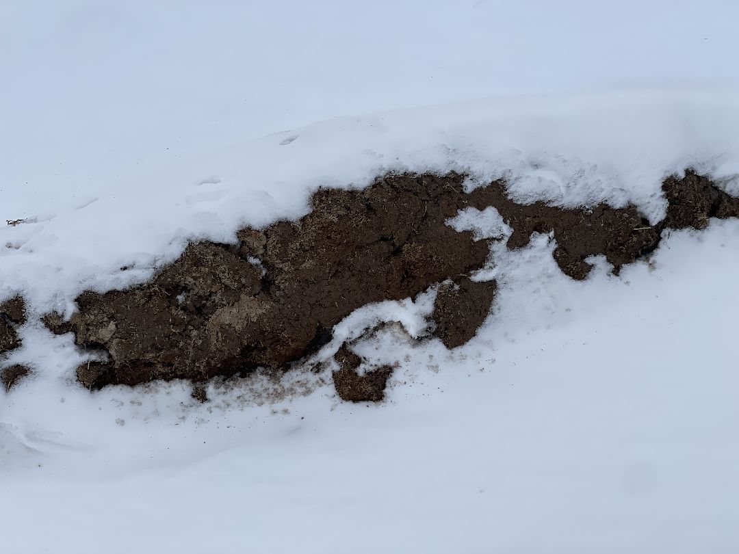 Экология, благоустройство, природа, министерство экологии, мвд, Росприроднадзор, Чапаевка