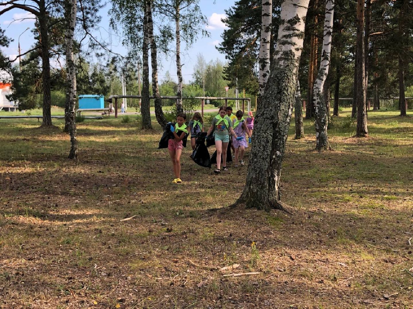 #Бакшеево#плоггинг#экология#ЛетовПодмосковье#БольшаяШатура