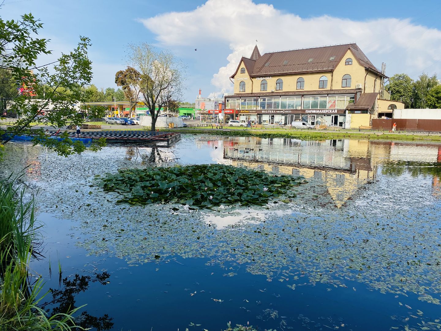 Балашиха, пруд Керосинка, покорми уток
