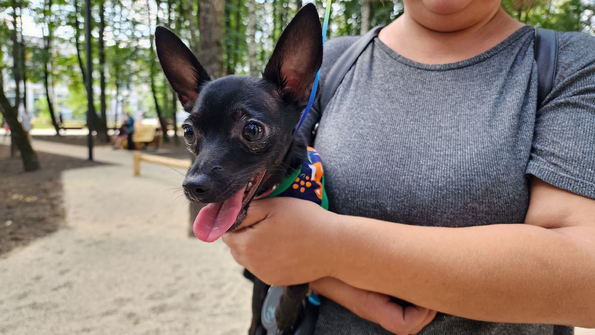 благоуйстройство, реконструкция,