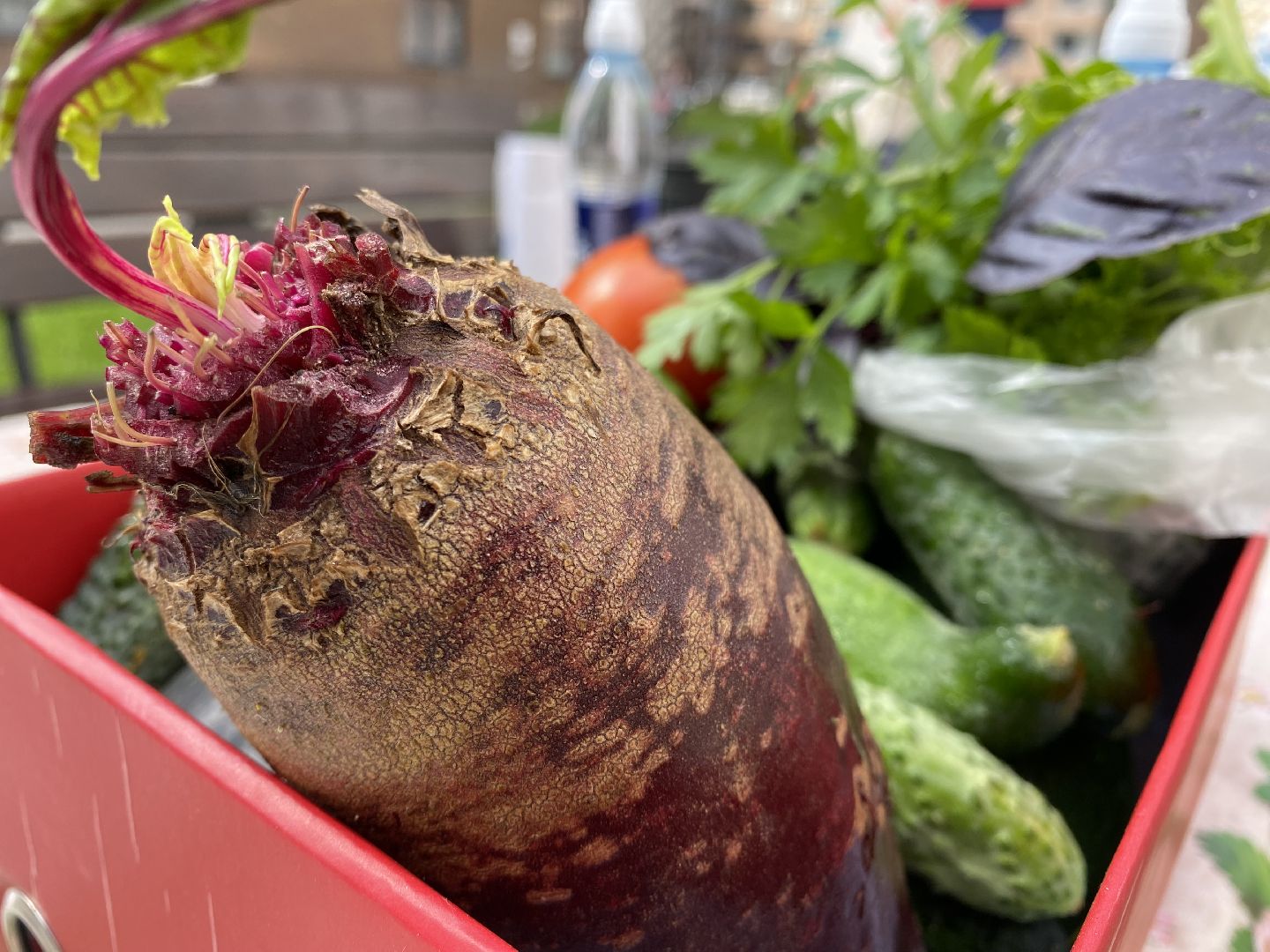 Балашиха, праздник урожая, ЖК «Столичный»