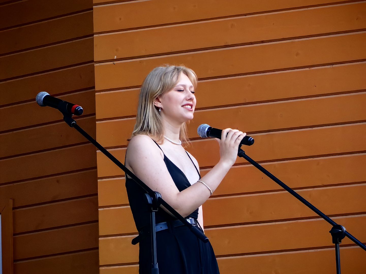 Концерт, ансамбль, театр, парк, атмосфера