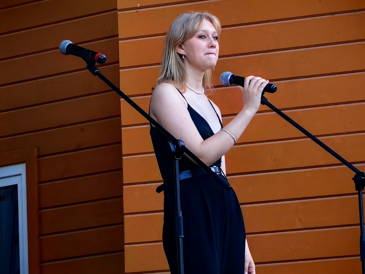 Концерт, ансамбль, театр, парк, атмосфера