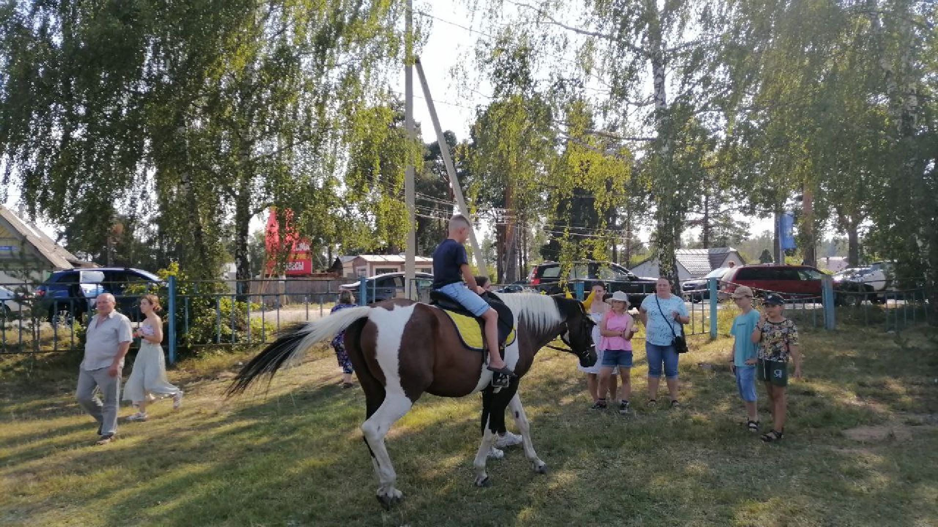 Шатура, кнут-арапник, Кривандино, край мещёрский – край богатый, ярмарка