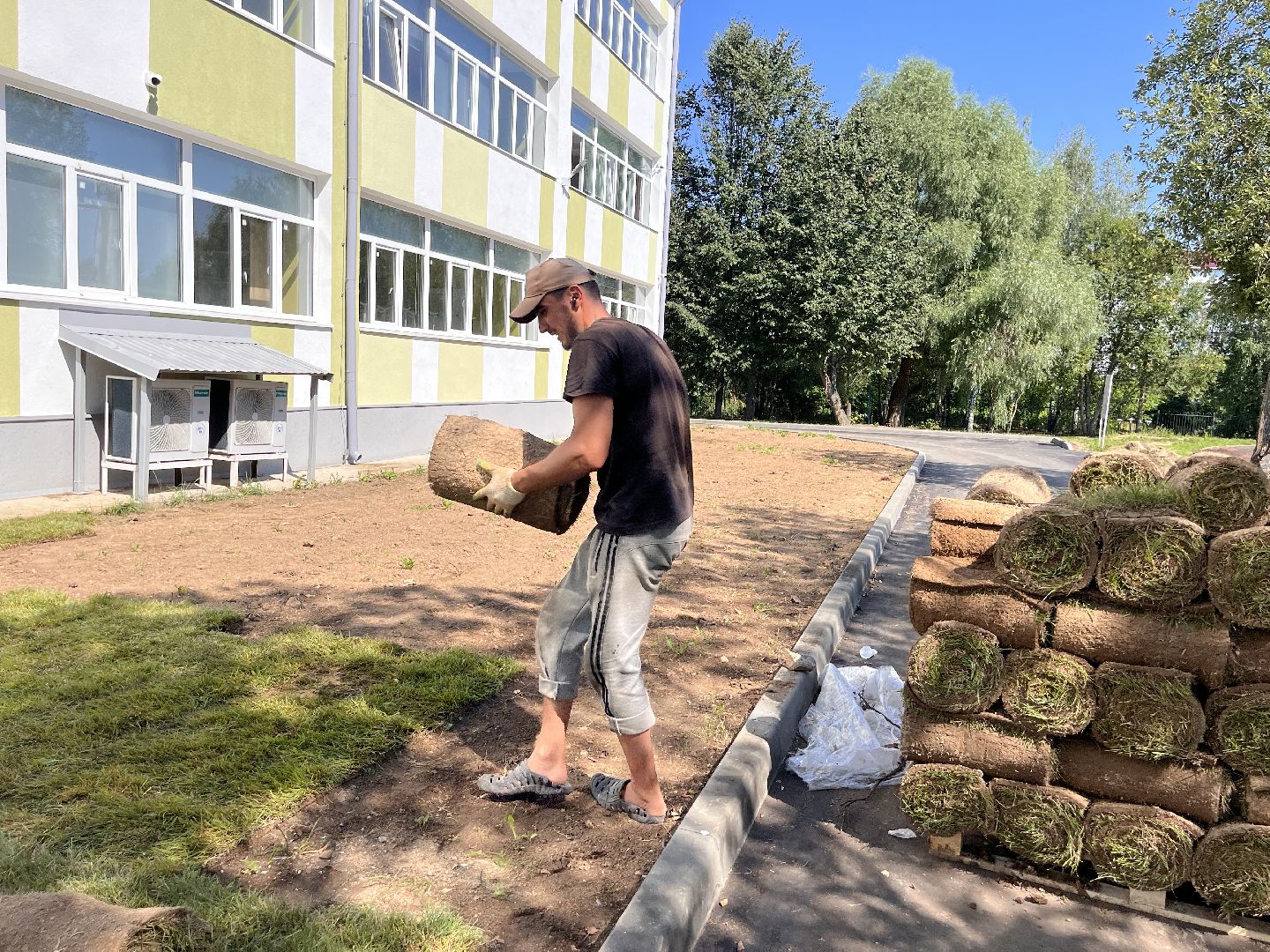 Шаховская, гимназия, школа, благоустройство