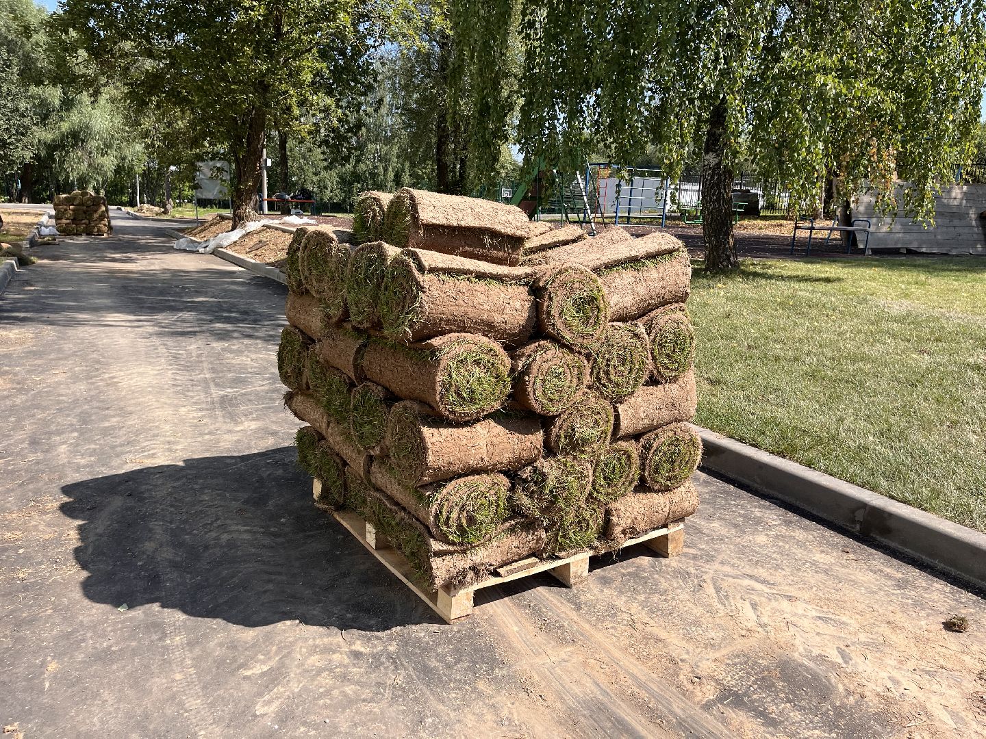 Шаховская, гимназия, школа, благоустройство