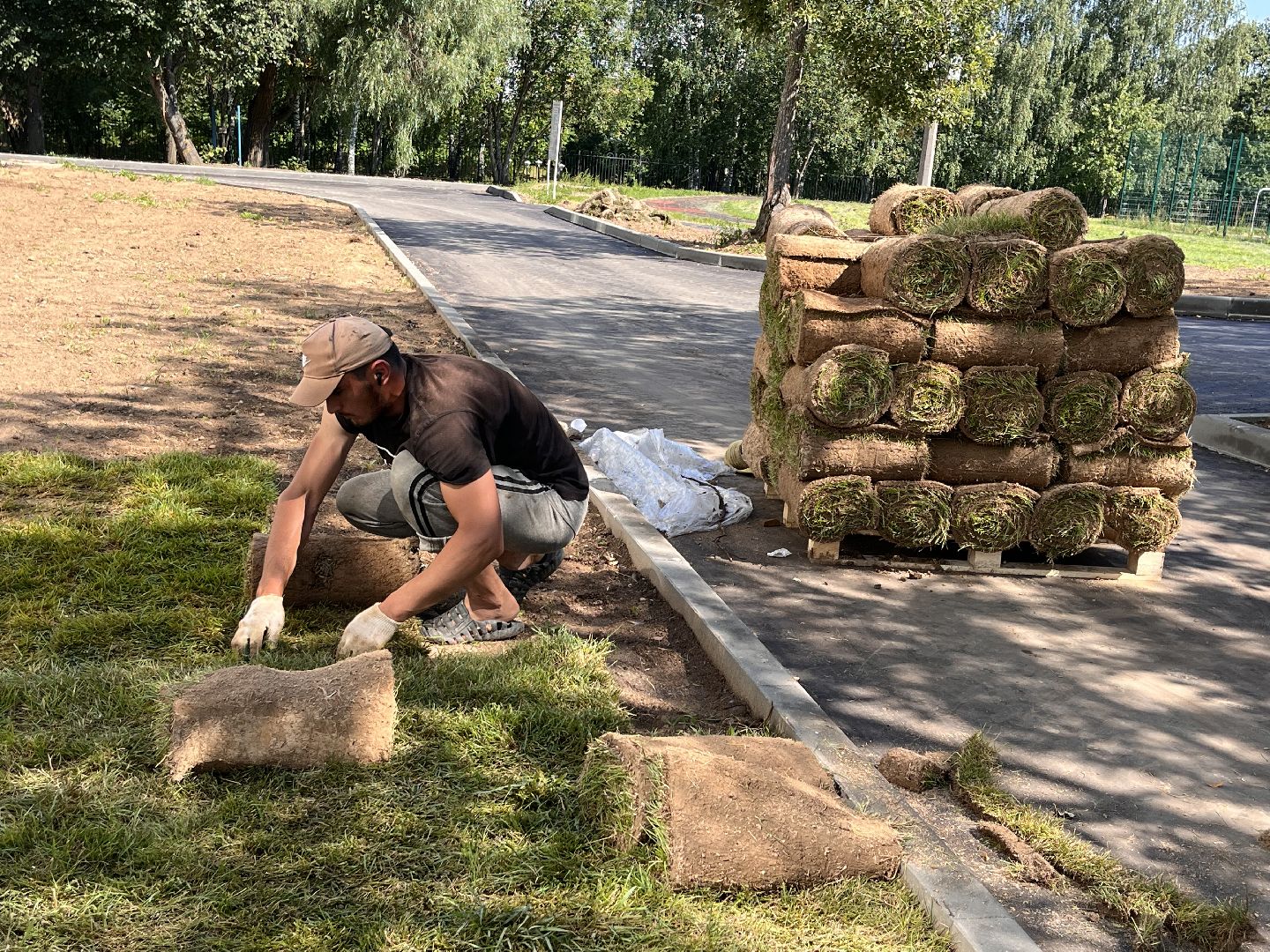 Шаховская, гимназия, школа, благоустройство