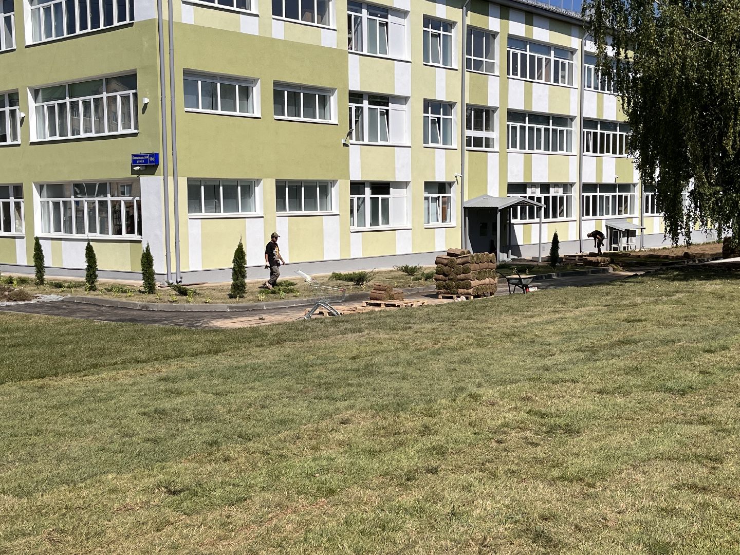 Шаховская, гимназия, школа, благоустройство