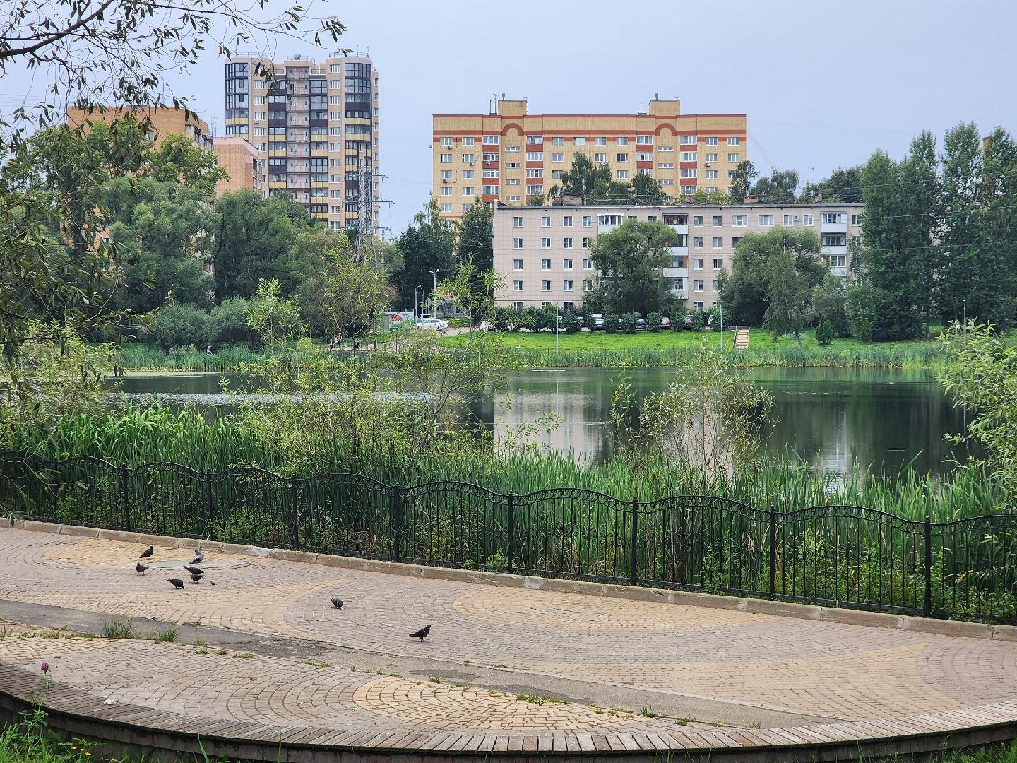 озеро, пушкино, цветы,