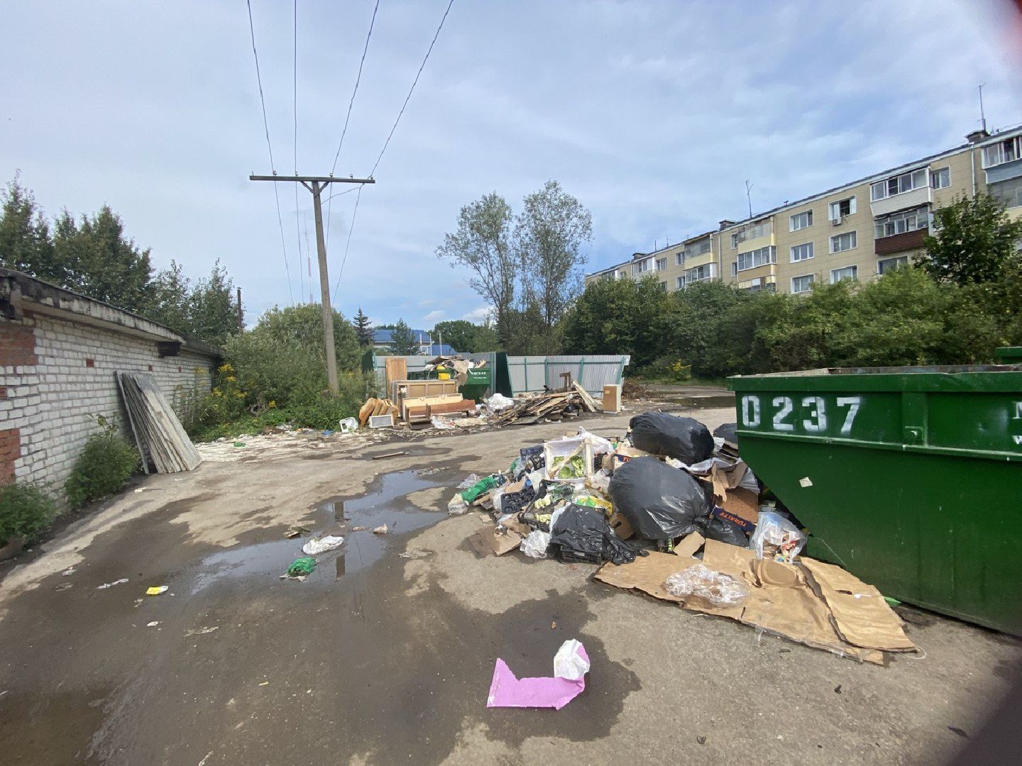 Чехов, ГУСТ, администрация, мусор, рейд, контейнерная площадка