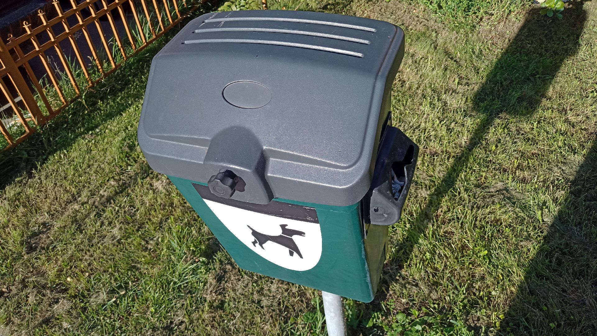 Реутов, собаки, догбоксы, чистота