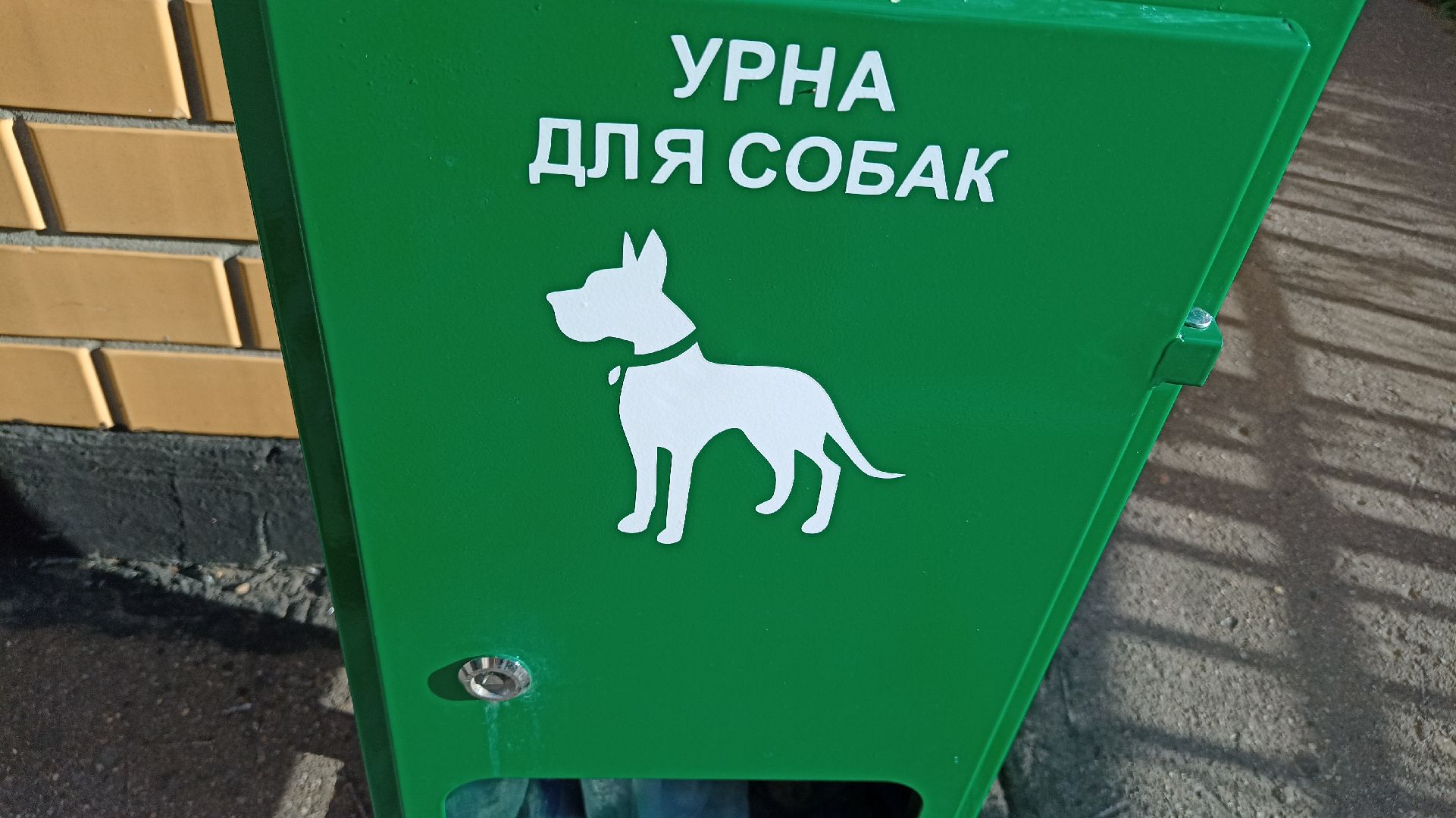 Реутов, собаки, догбоксы, чистота