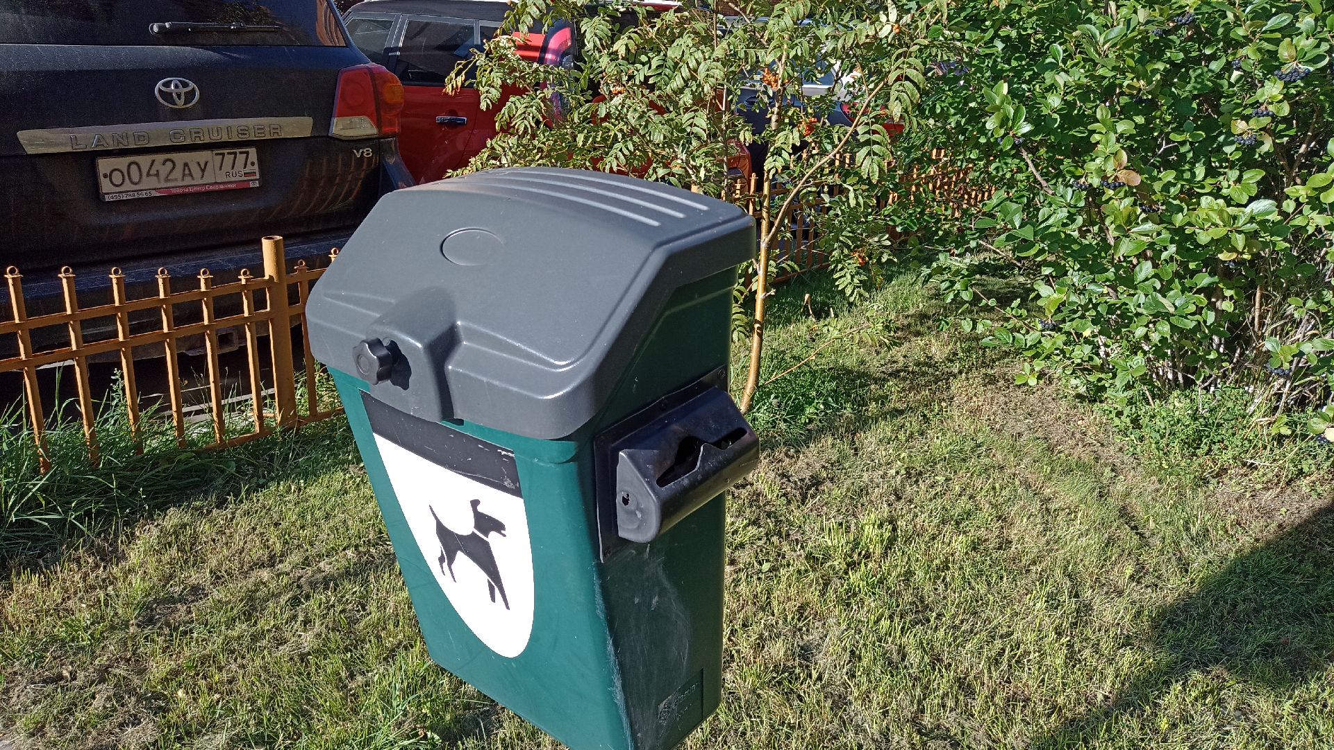 Реутов, собаки, догбоксы, чистота