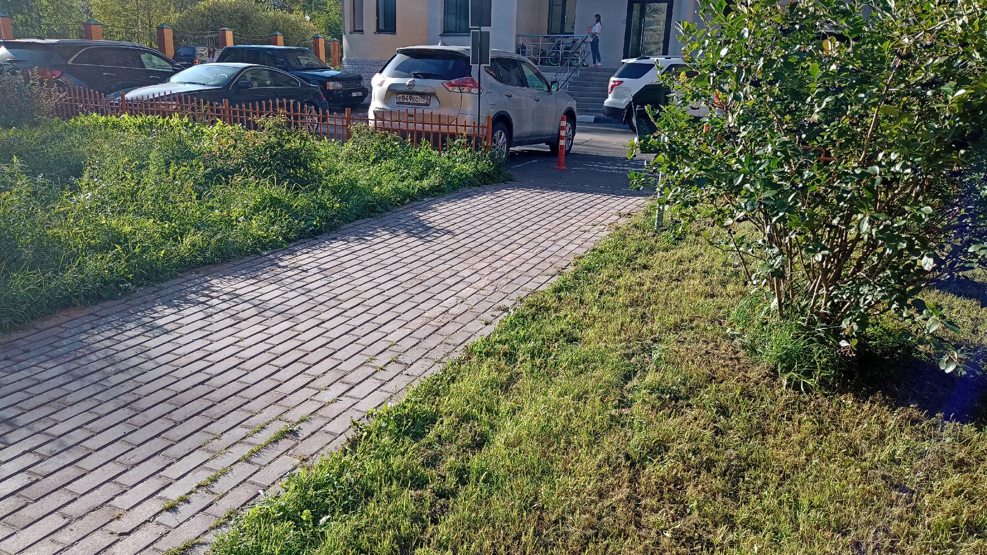 Реутов, собаки, догбоксы, чистота