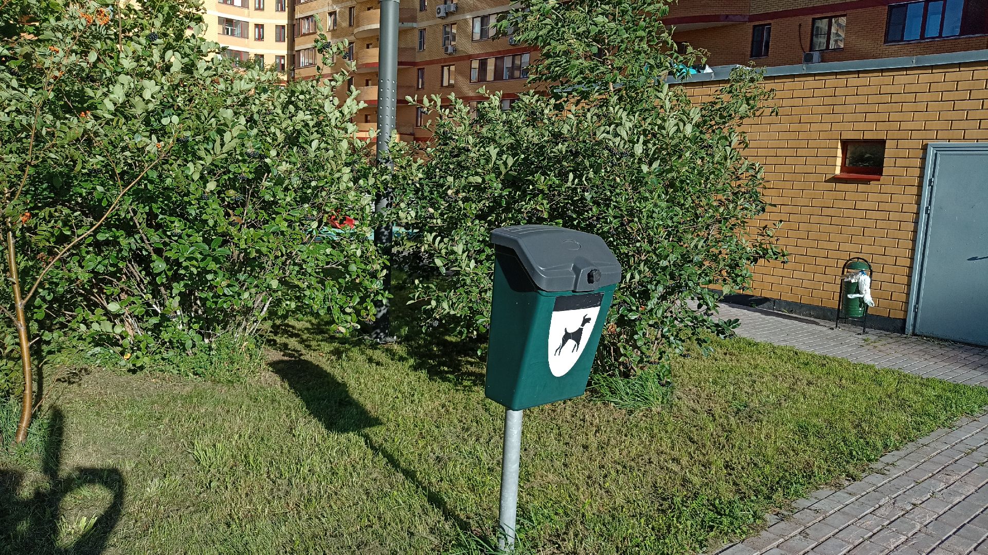 Реутов, собаки, догбоксы, чистота