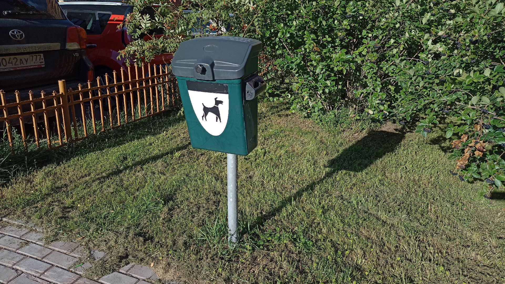 Реутов, собаки, догбоксы, чистота