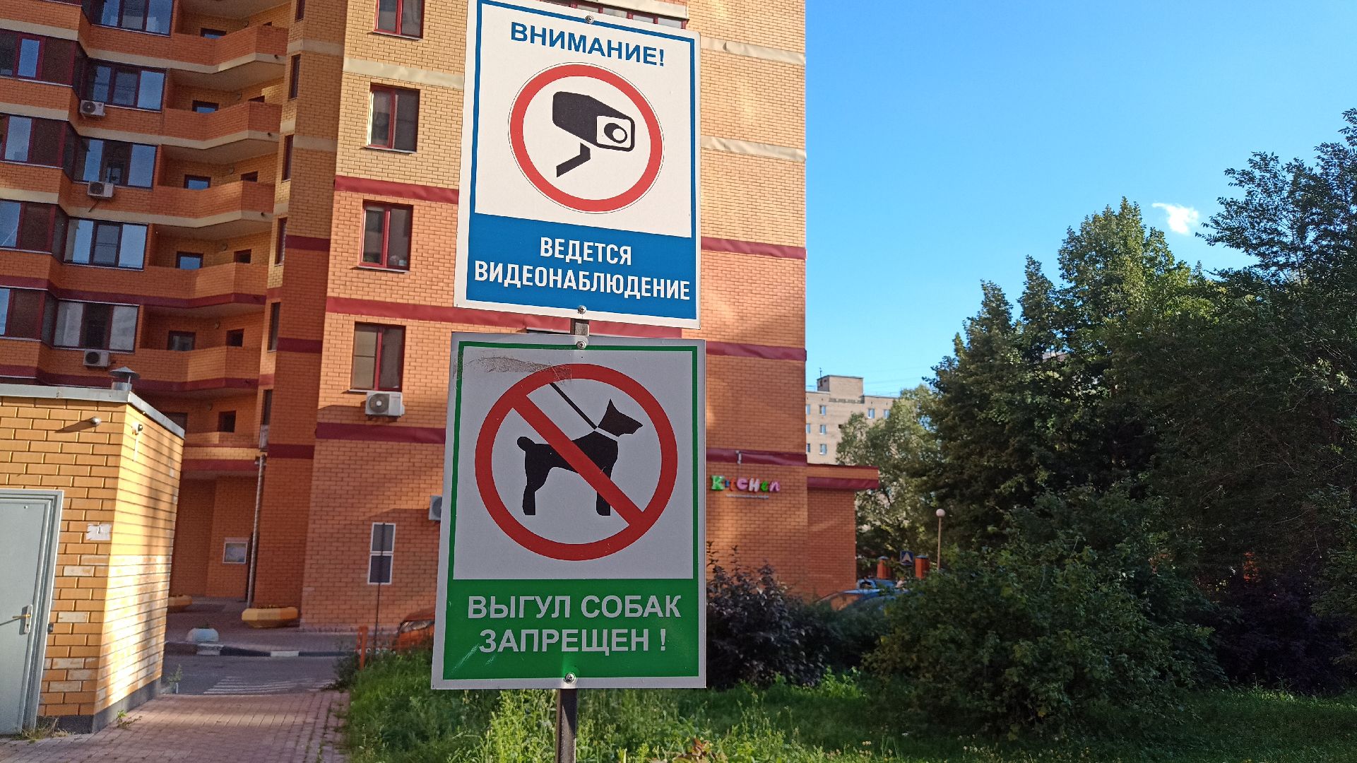 Реутов, собаки, догбоксы, чистота