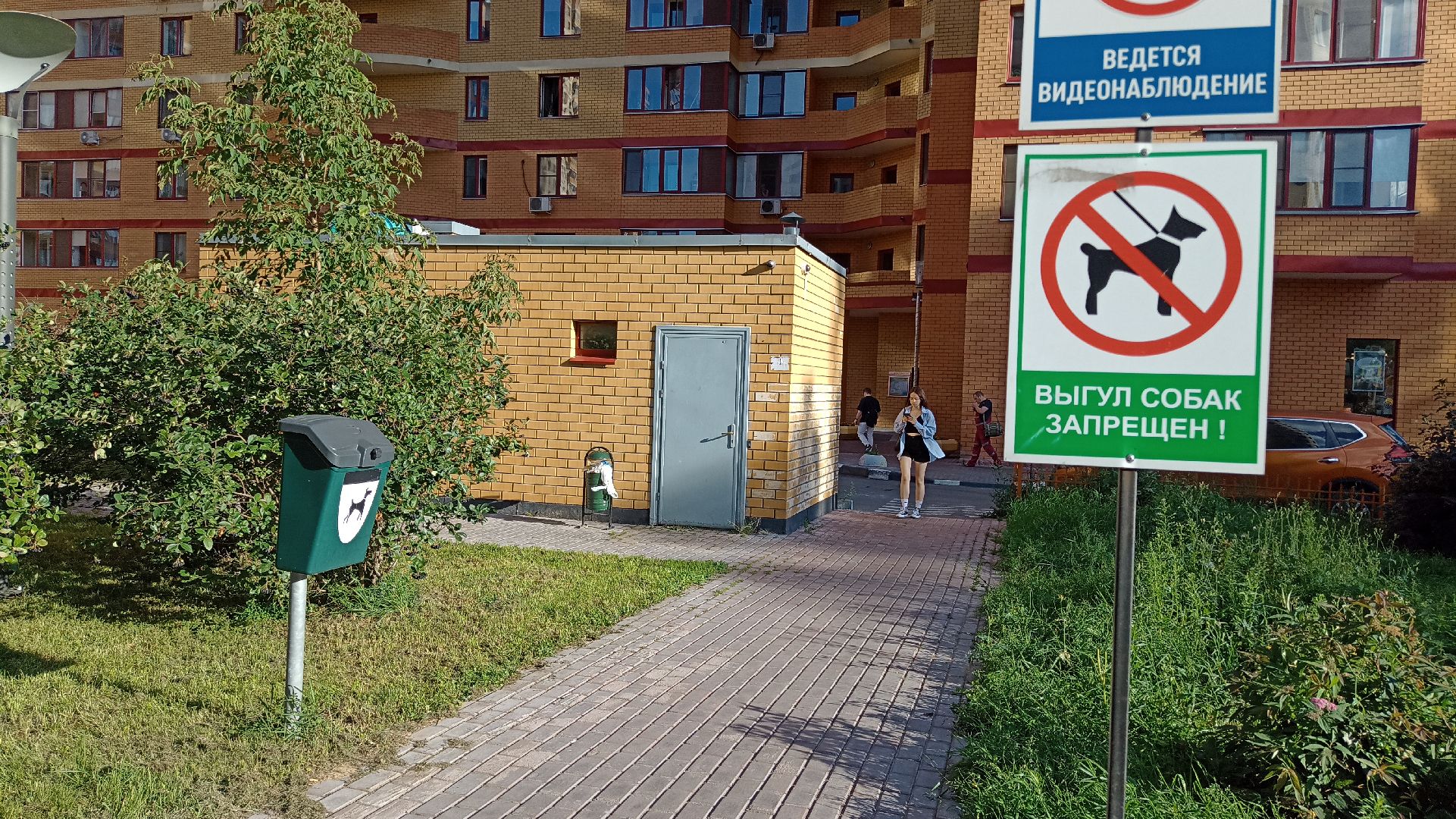 Реутов, собаки, догбоксы, чистота