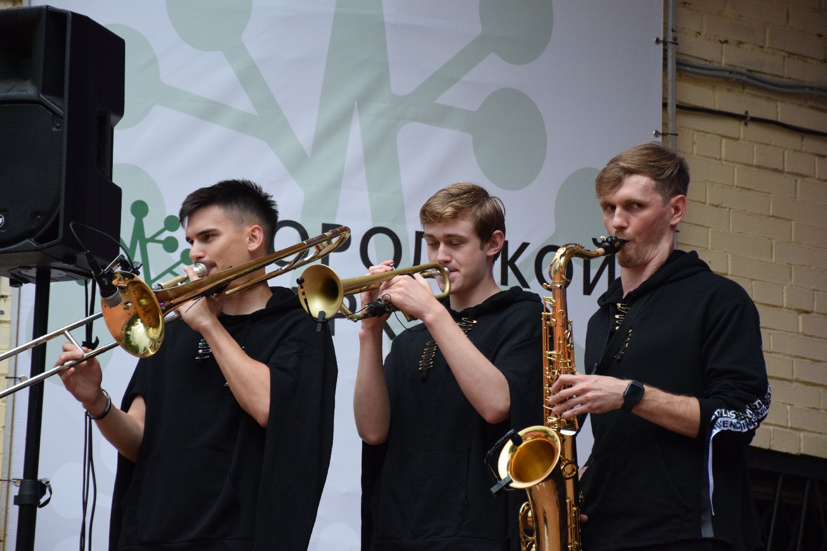 Павловский Посад, городской округ Павловский Посад, люди, парк, концерт, группа, выступление