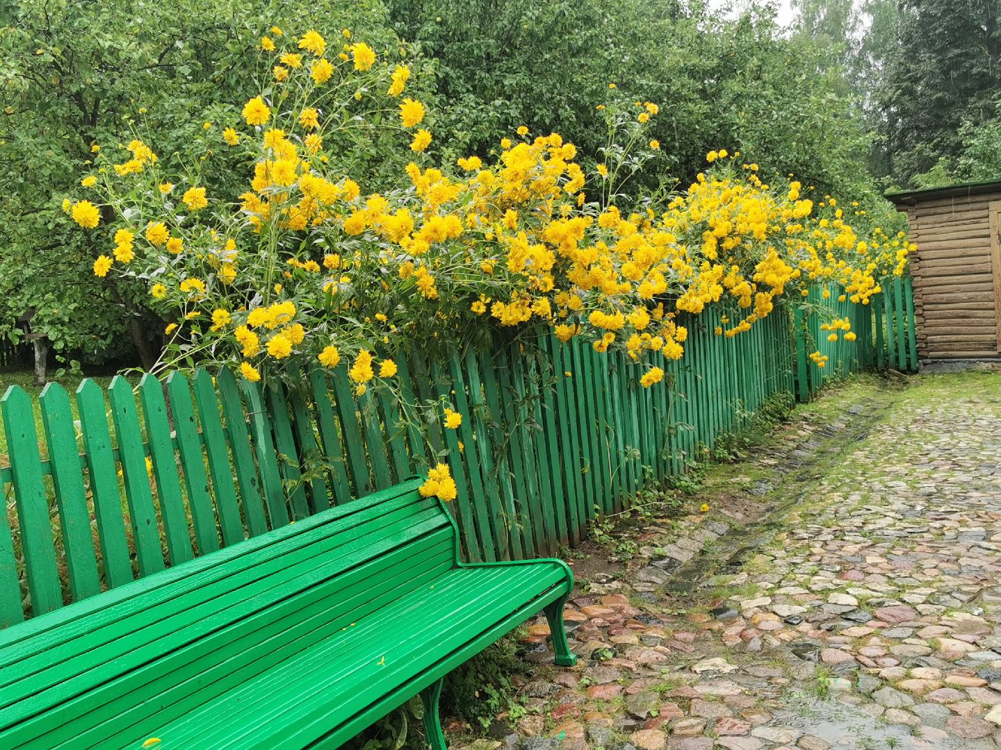 Подольск, цветы, садовник