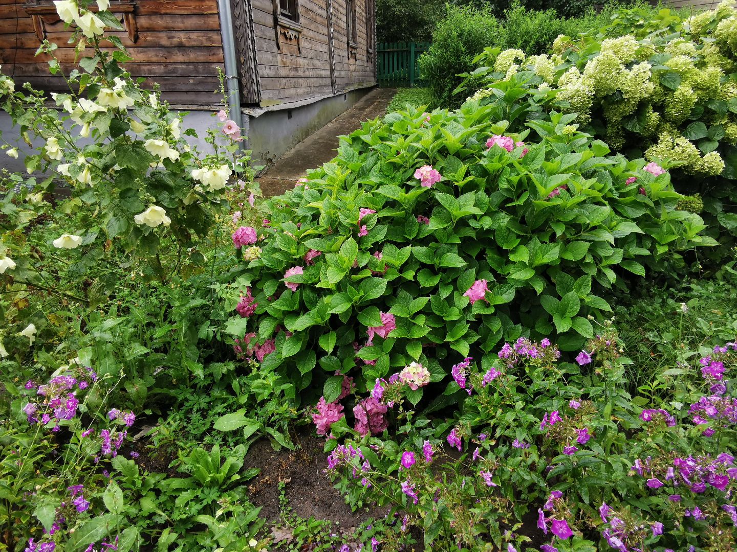 Подольск, цветы, садовник