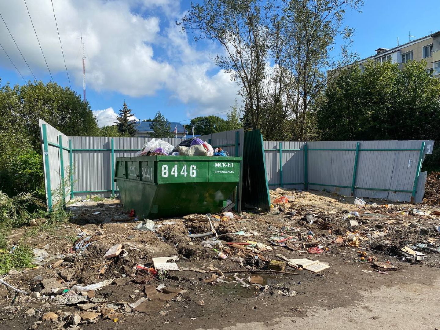 Чехов, ГУСТ, контейнерная площадка, рейд, мусор, серые возчики