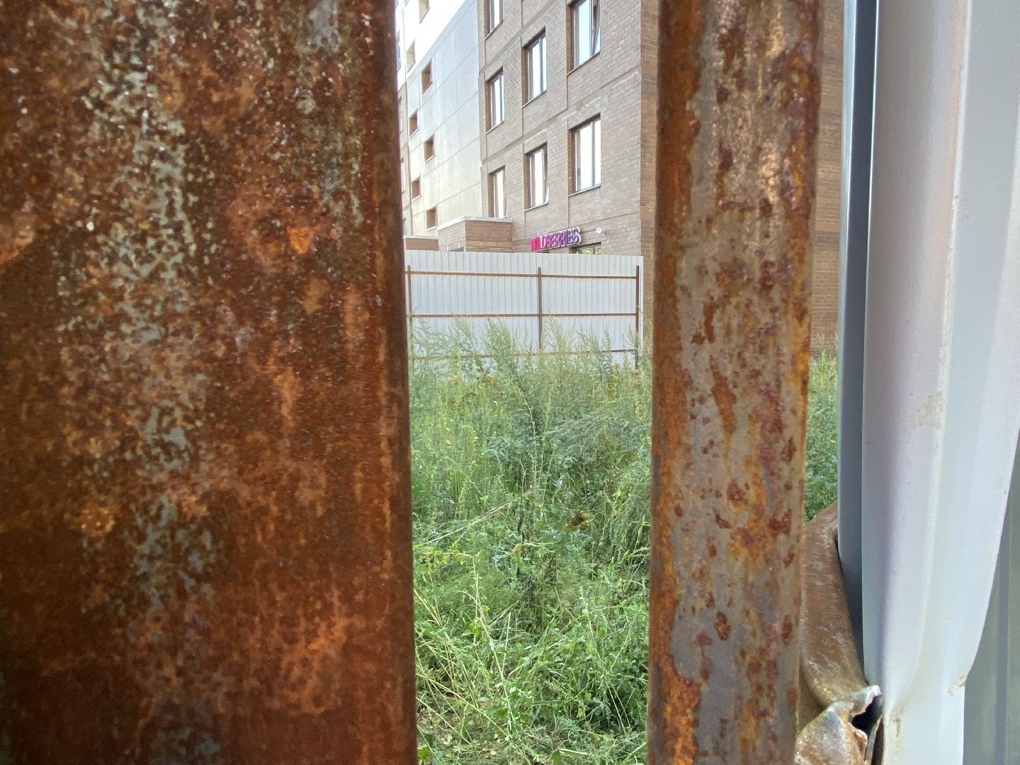 Балашиха, ЖК «Столичный», черепно-мозговая травма, ЧП