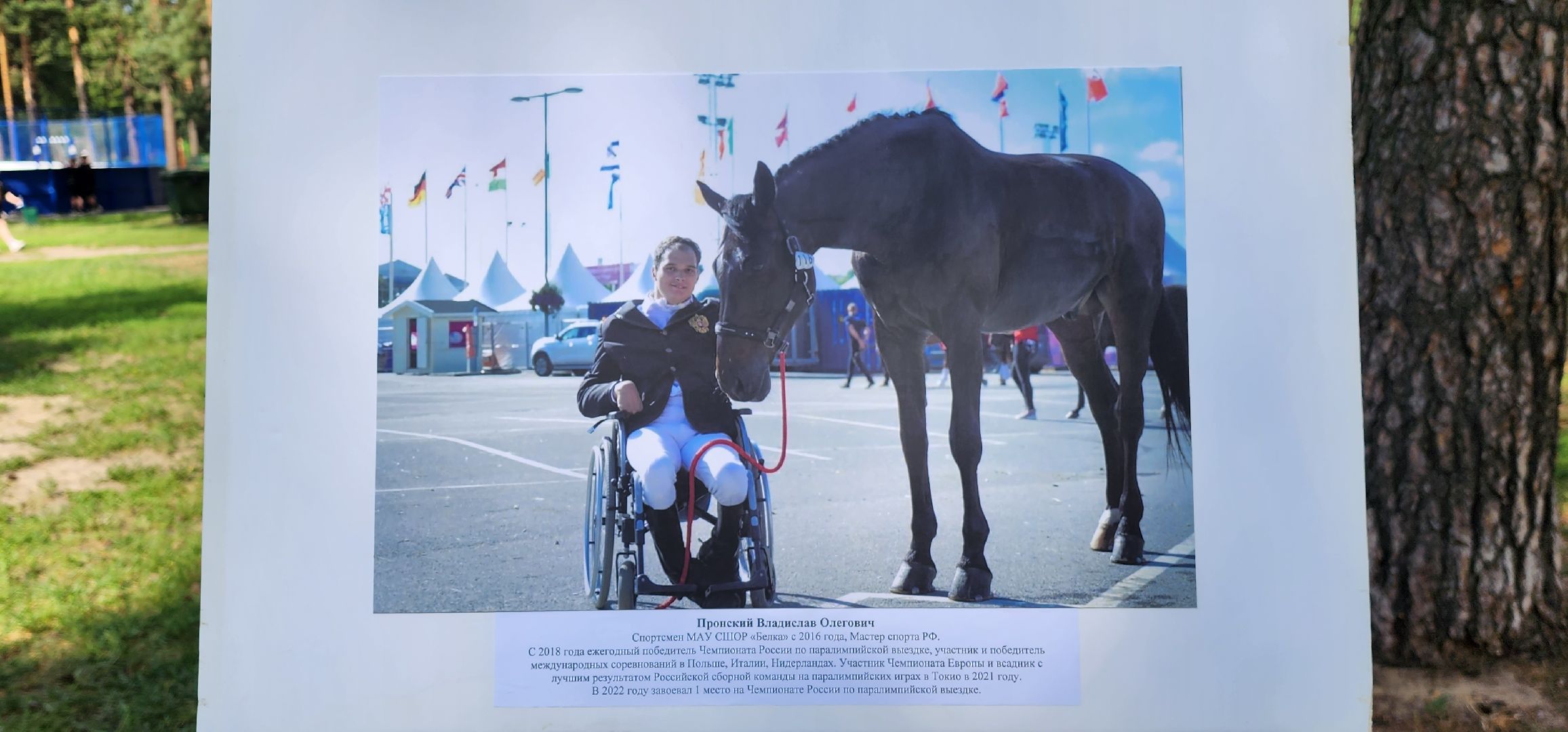 День физкультурника, спортсмены, выставка, Котельники