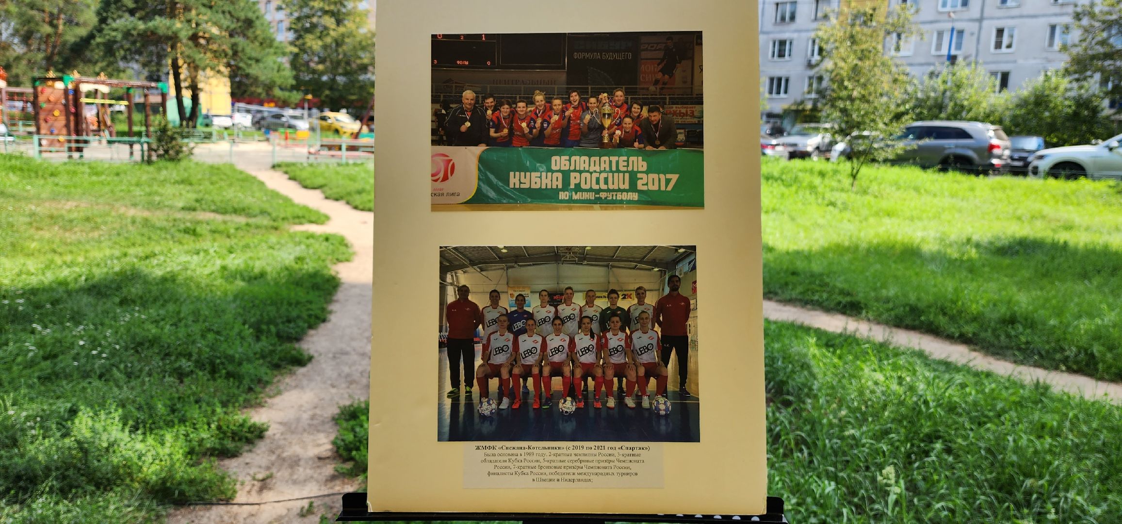 День физкультурника, спортсмены, выставка, Котельники