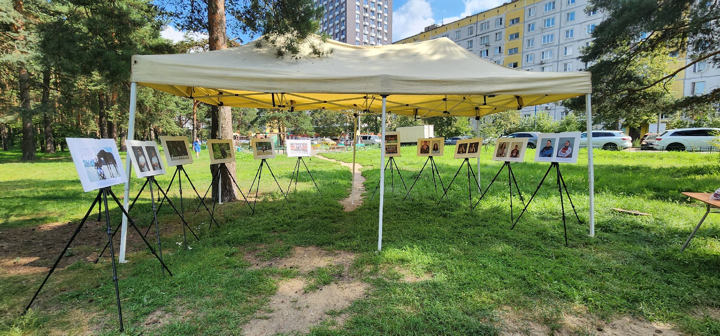 День физкультурника, спортсмены, выставка, Котельники