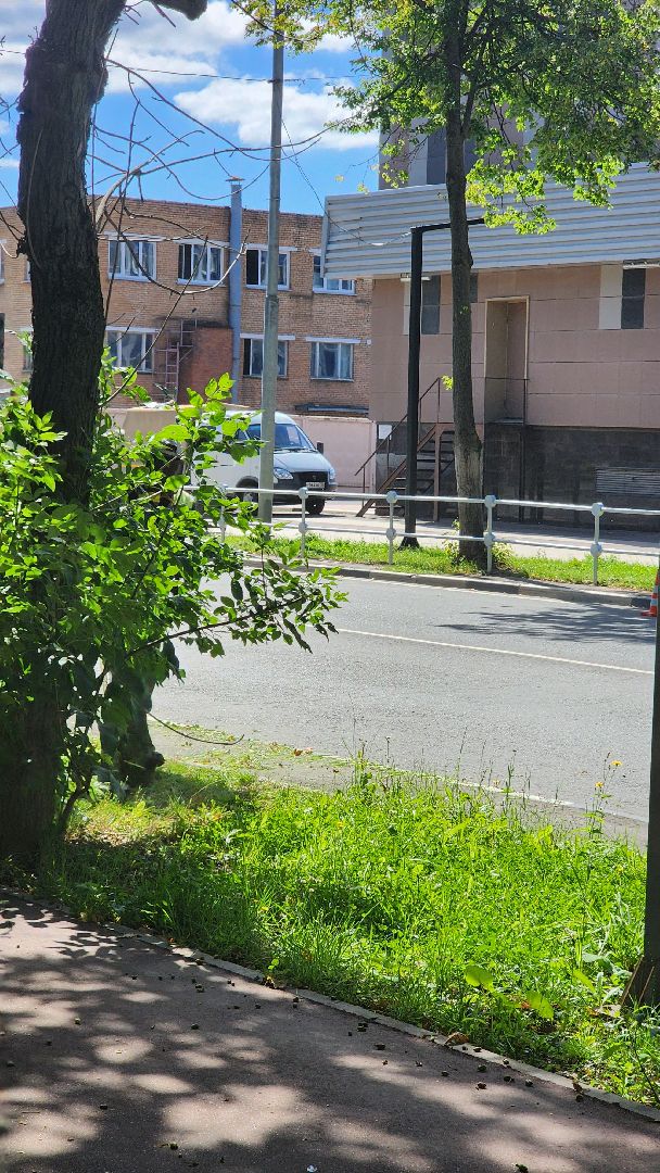 Долгопрудный, благоустройство, МФТИ, Физтех, ограждение, дорога, газон