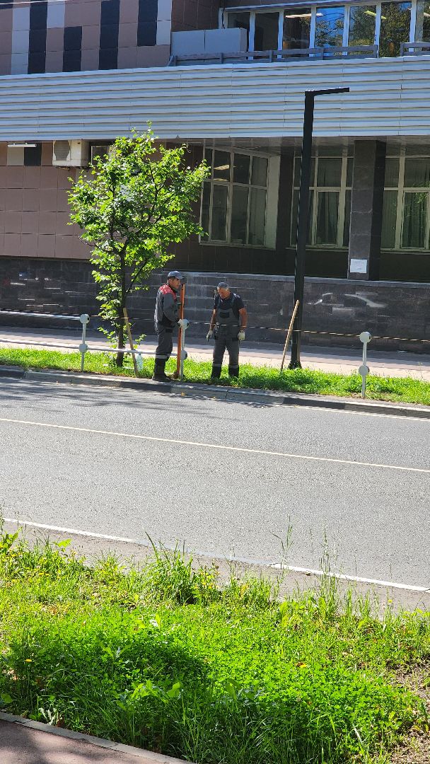 Долгопрудный, благоустройство, МФТИ, Физтех, ограждение, дорога, газон