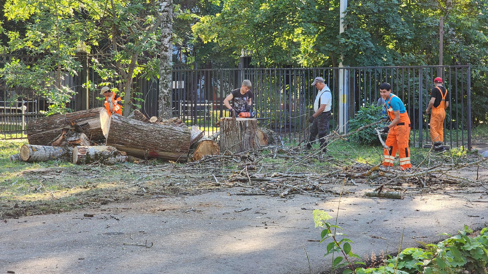 субботник, благоуйстройство, волонтеры подмосковья,