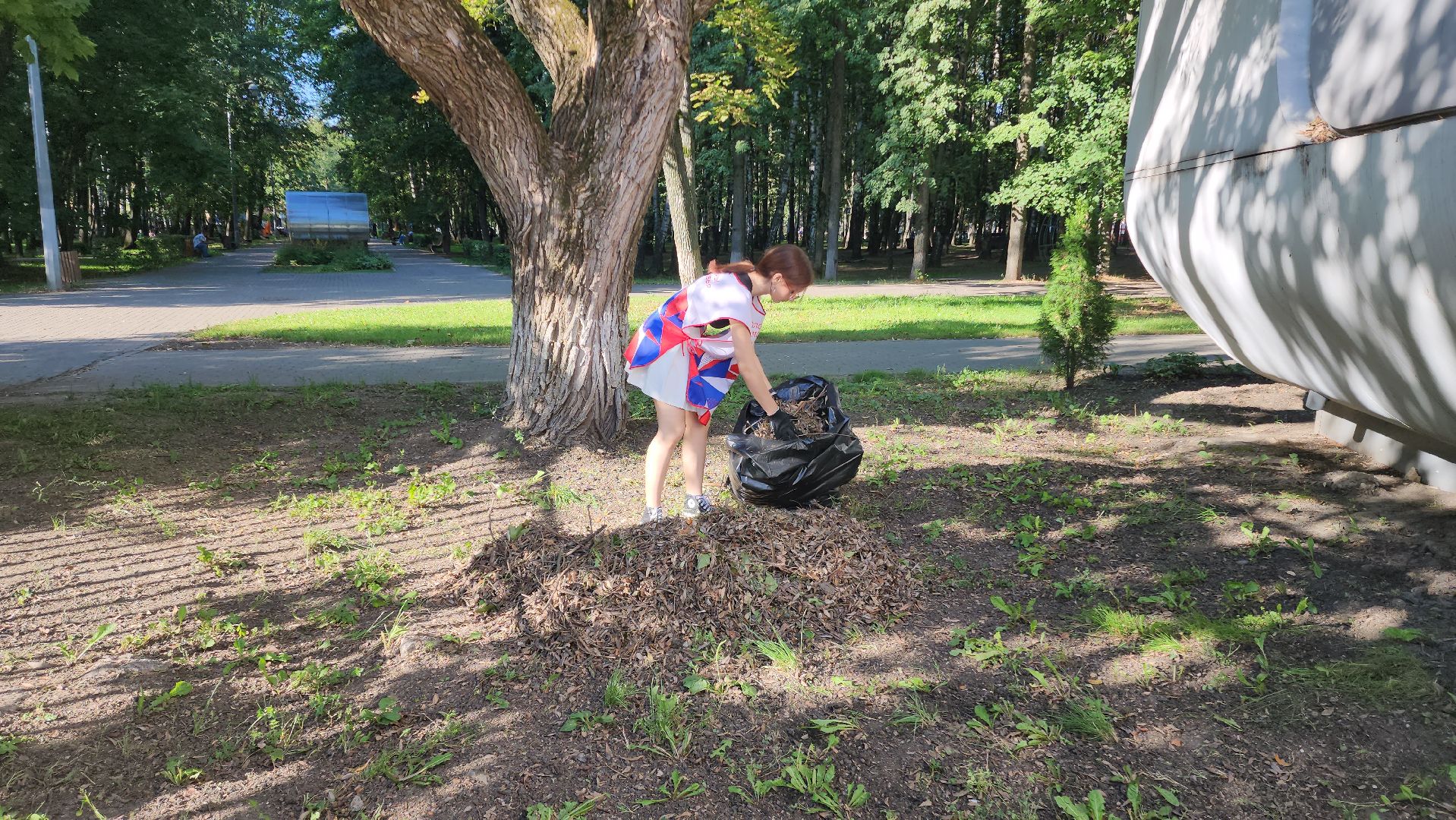 субботник, благоуйстройство, волонтеры подмосковья,