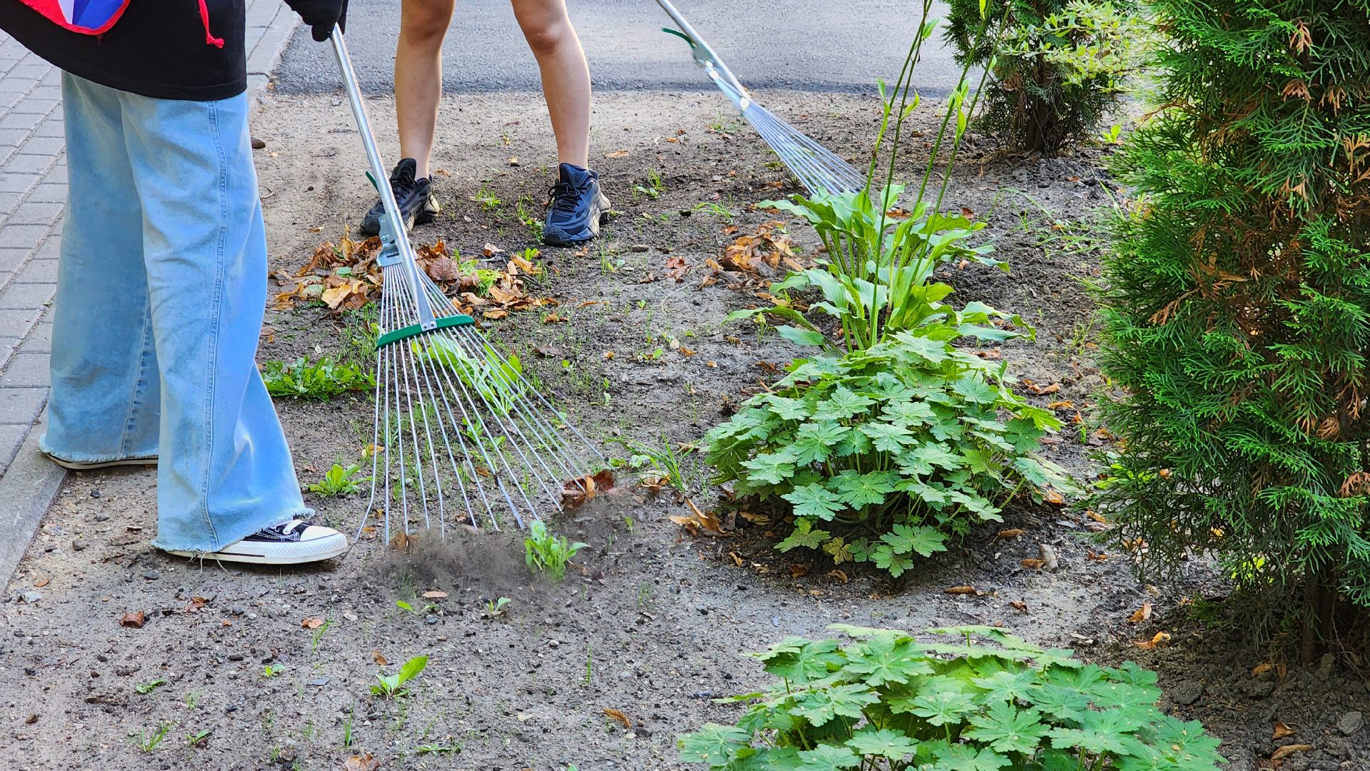 субботник, благоуйстройство, волонтеры подмосковья,