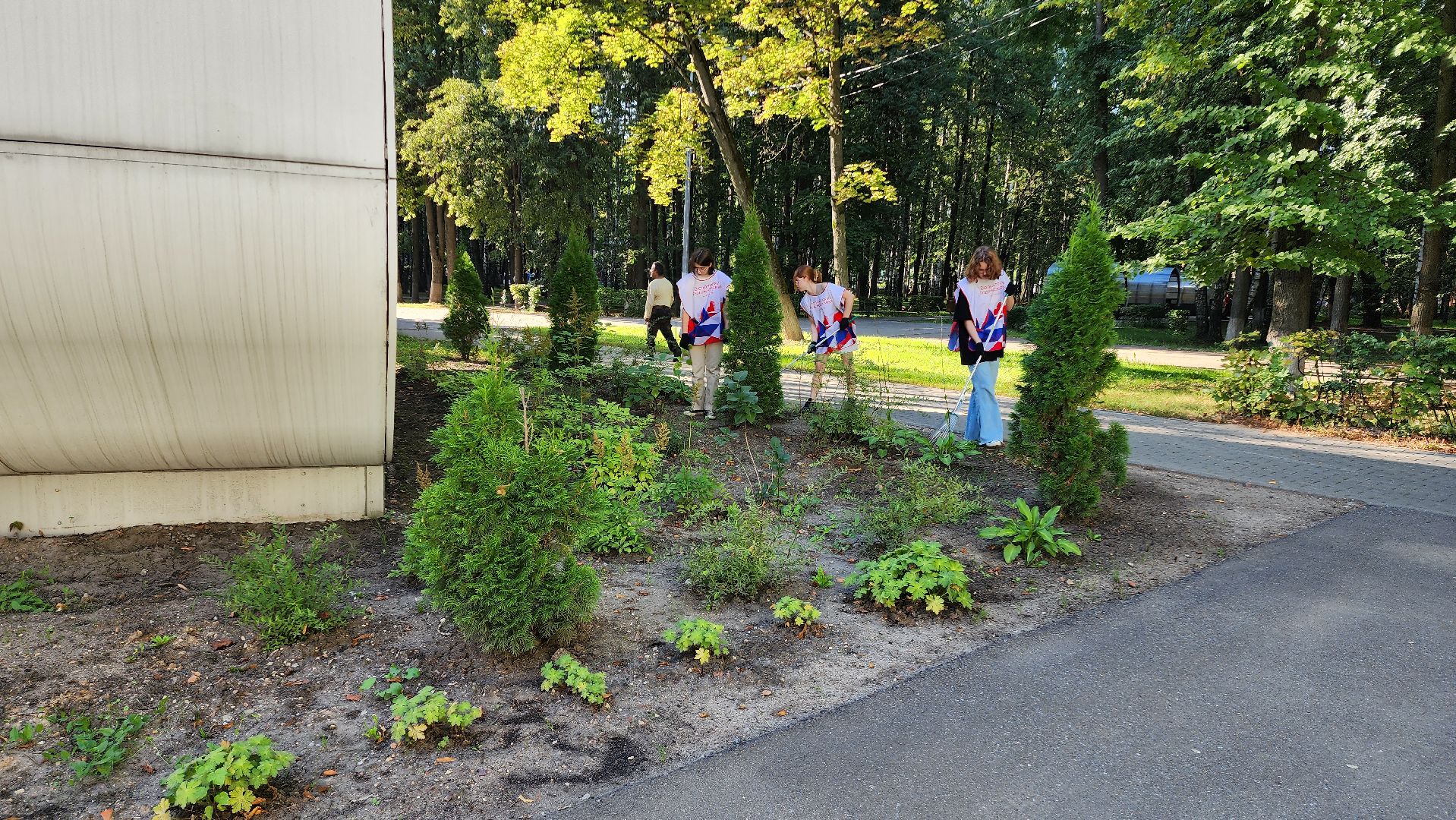 субботник, благоуйстройство, волонтеры подмосковья,