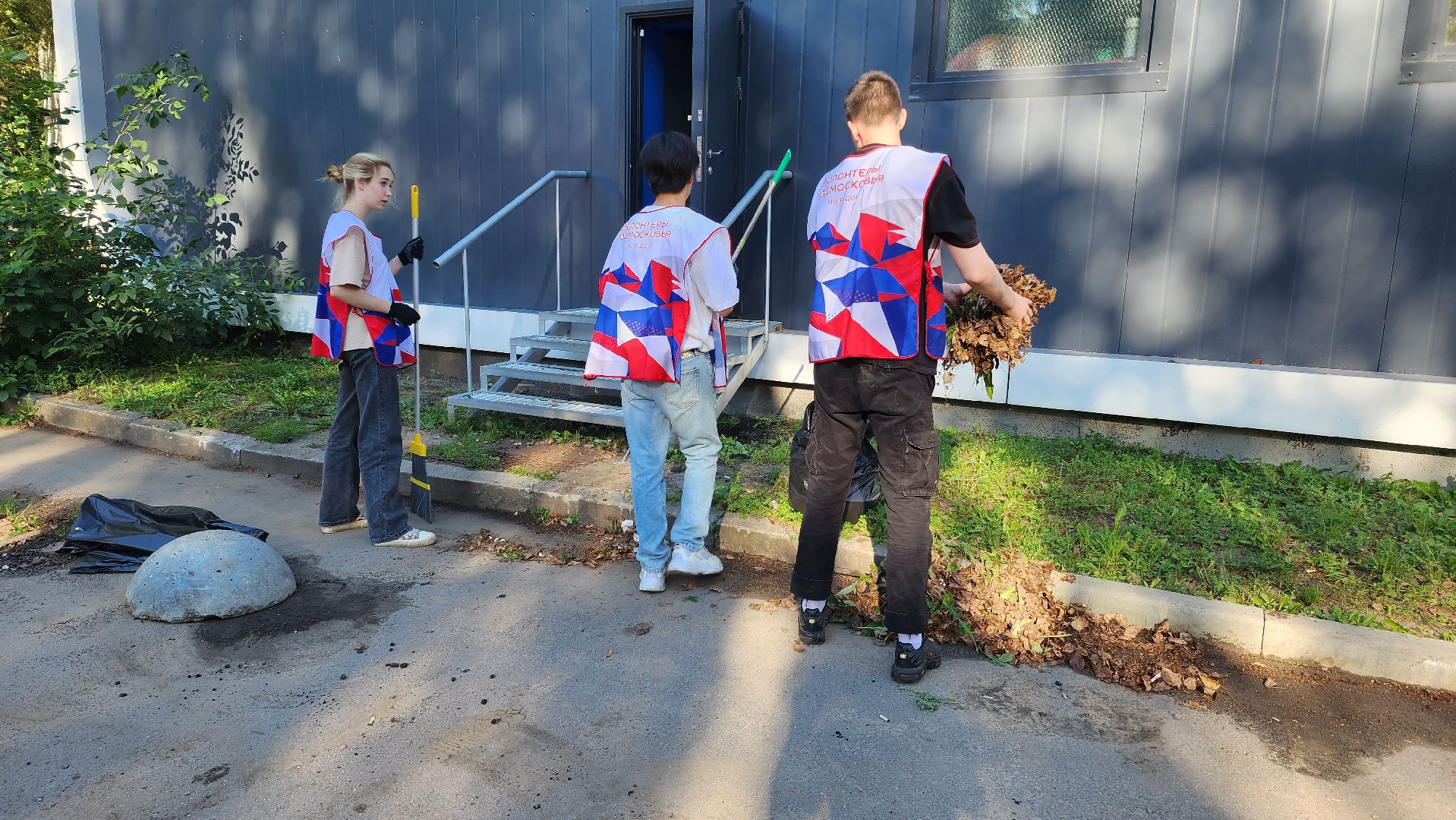 субботник, благоуйстройство, волонтеры подмосковья,