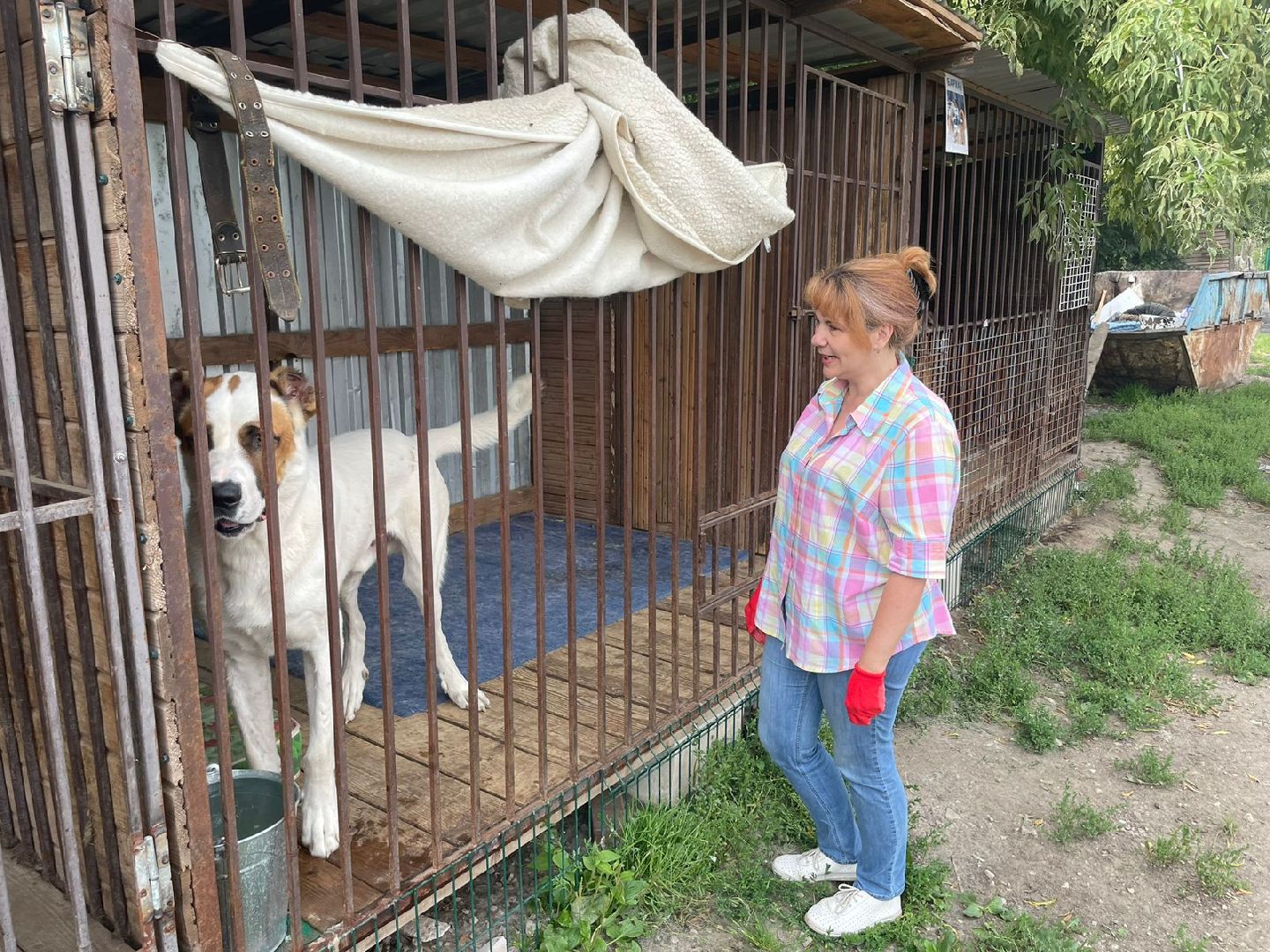 питомник животных, Домодедово