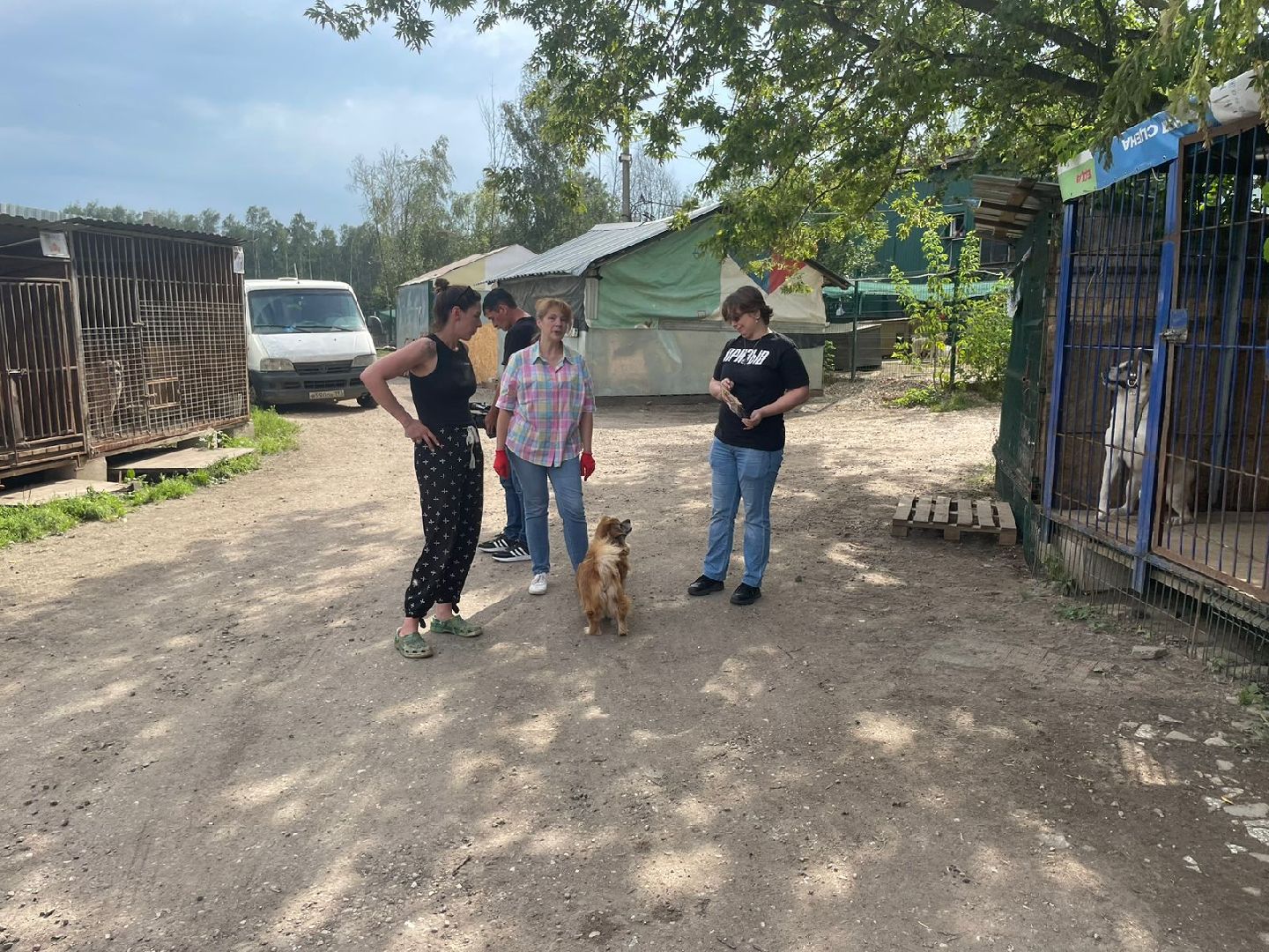 питомник животных, Домодедово