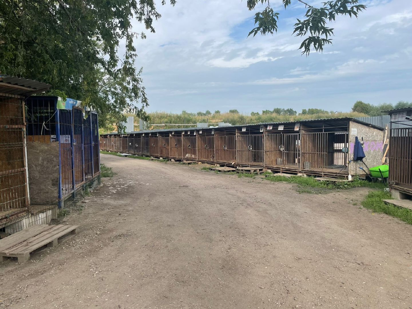 питомник животных, Домодедово