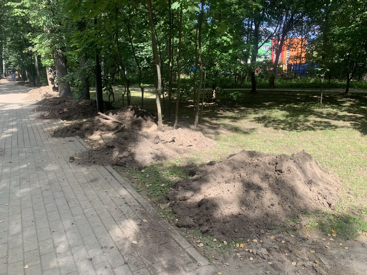 Дети, развитие, лето в подмосковье, благоуйстройство,